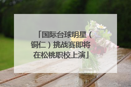 国际台球明星（铜仁）挑战赛即将在松桃职校上演