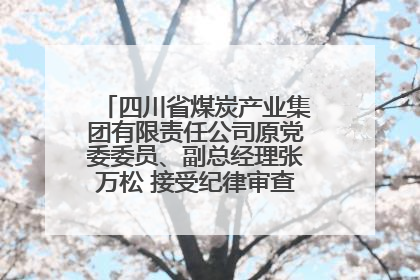 四川省煤炭产业集团有限责任公司原党委委员、副总经理张万松 接受纪律审查和监察调查
