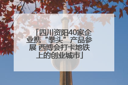 四川资阳40家企业携“拳头”产品参展 西博会打卡地铁上的创业城市