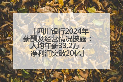 四川银行2024年薪酬及经营情况披露：人均年薪33.2万，净利润突破20亿
