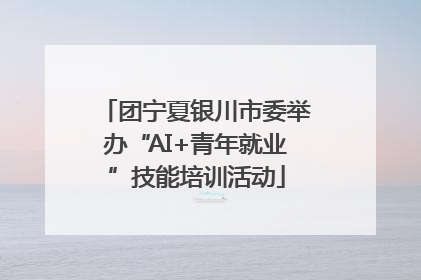 团宁夏银川市委举办“AI+青年就业”技能培训活动