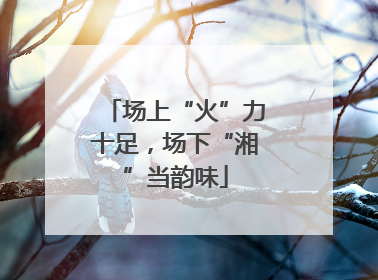 场上“火”力十足，场下“湘”当韵味