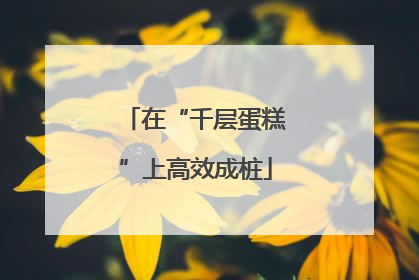 在“千层蛋糕”上高效成桩