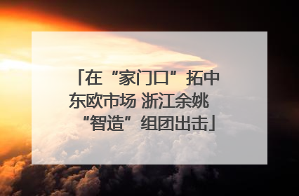 在“家门口”拓中东欧市场 浙江余姚“智造”组团出击