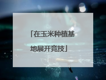 在玉米种植基地展开竞技