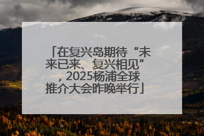 在复兴岛期待“未来已来、复兴相见”，2025杨浦全球推介大会昨晚举行