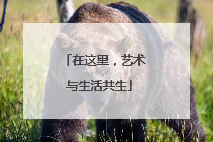 在这里，艺术与生活共生