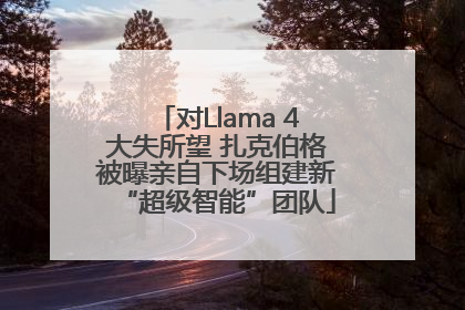 对Llama 4大失所望 扎克伯格被曝亲自下场组建新“超级智能”团队