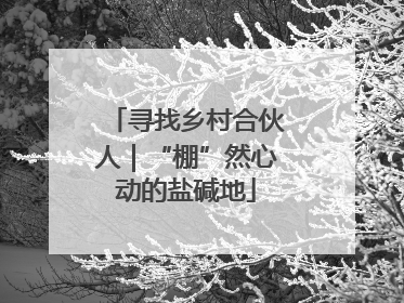 寻找乡村合伙人｜“棚”然心动的盐碱地