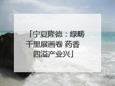 宁夏隆德：绿畴千里展画卷 药香四溢产业兴