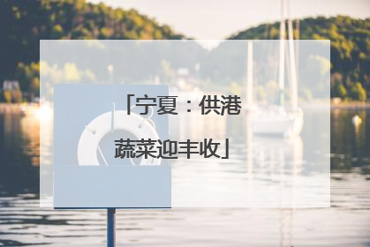 宁夏：供港蔬菜迎丰收