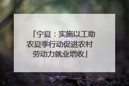 宁夏：实施以工助农夏季行动促进农村劳动力就业增收