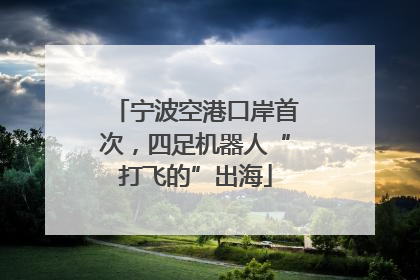 宁波空港口岸首次，四足机器人“打飞的”出海