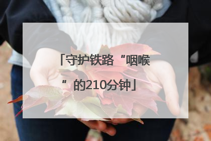 守护铁路“咽喉”的210分钟