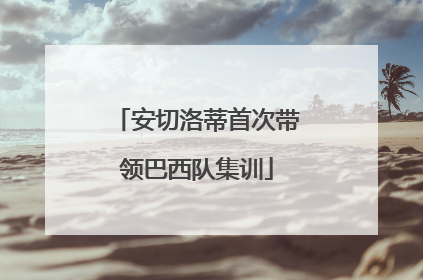 安切洛蒂首次带领巴西队集训