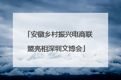 安徽乡村振兴电商联盟亮相深圳文博会