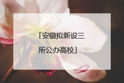 安徽拟新设三所公办高校