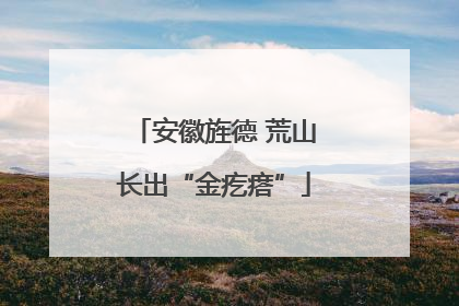 安徽旌德 荒山长出“金疙瘩”