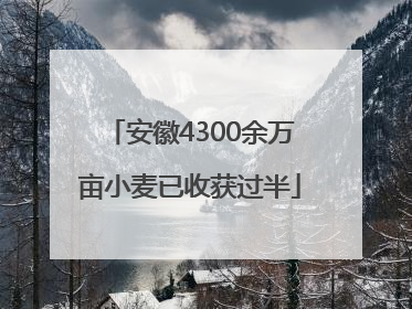 安徽4300余万亩小麦已收获过半