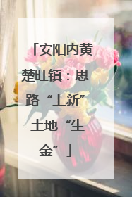 安阳内黄楚旺镇：思路“上新” 土地“生金”