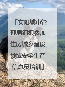 安阳城市管理局组织参加住房城乡建设领域安全生产信息员培训