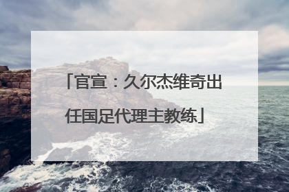 官宣：久尔杰维奇出任国足代理主教练