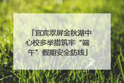 宜宾翠屏金秋湖中心校多举措筑牢“端午”假期安全防线