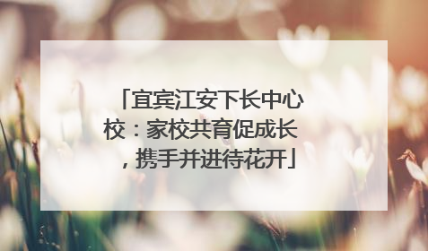宜宾江安下长中心校：家校共育促成长，携手并进待花开