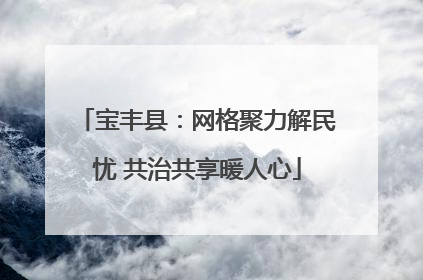 宝丰县：网格聚力解民忧 共治共享暖人心