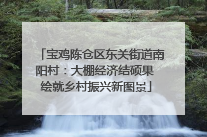 宝鸡陈仓区东关街道南阳村：大棚经济结硕果 绘就乡村振兴新图景