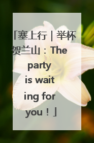 塞上行｜举杯贺兰山：The party is waiting for you！