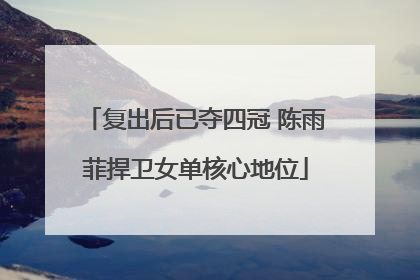 复出后已夺四冠 陈雨菲捍卫女单核心地位