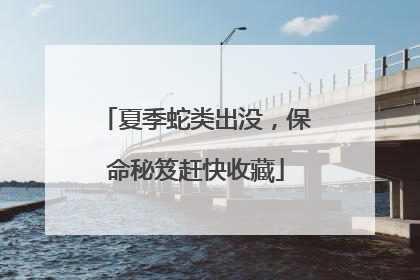 夏季蛇类出没，保命秘笈赶快收藏