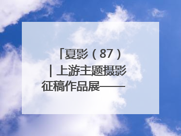 夏影（87）｜上游主题摄影征稿作品展——周社根作品