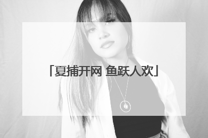 夏捕开网 鱼跃人欢