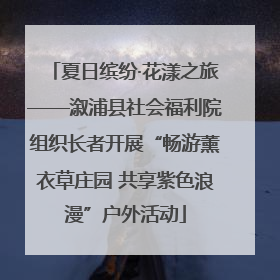 夏日缤纷·花漾之旅——溆浦县社会福利院组织长者开展“畅游薰衣草庄园 共享紫色浪漫”户外活动