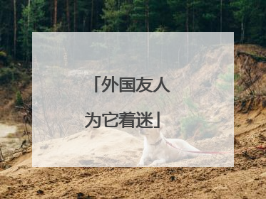 外国友人为它着迷
