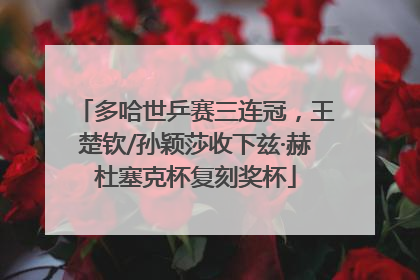 多哈世乒赛三连冠，王楚钦/孙颖莎收下兹·赫杜塞克杯复刻奖杯