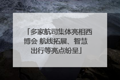 多家航司集体亮相西博会 航线拓展、智慧出行等亮点纷呈