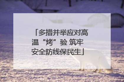 多措并举应对高温“烤”验 筑牢安全防线保民生