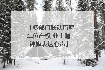 多部门联动巧解车位产权 业主赠锦旗表达心声