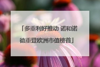 多重利好推动 诺和诺德重登欧洲市值榜首