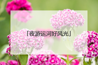 夜游运河好风光