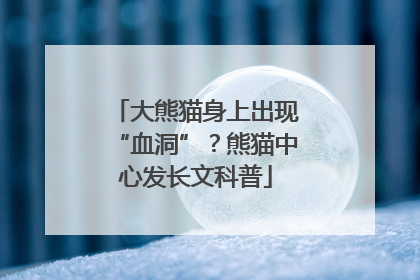 大熊猫身上出现“血洞”？熊猫中心发长文科普