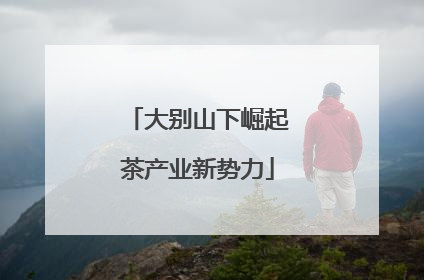 大别山下崛起茶产业新势力
