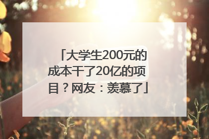 大学生200元的成本干了20亿的项目？网友：羡慕了