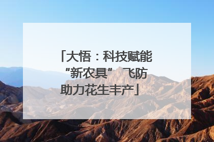大悟：科技赋能“新农具” 飞防助力花生丰产