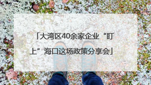 大湾区40余家企业“盯上”海口这场政策分享会