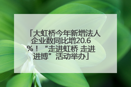 大虹桥今年新增法人企业数同比增20.6%！“走进虹桥 走进进博”活动举办