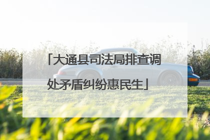 大通县司法局排查调处矛盾纠纷惠民生